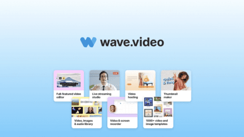 Wave.Video is back! [2023]