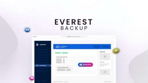 Everest Backup
