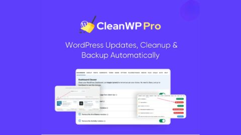 CleanWP Pro